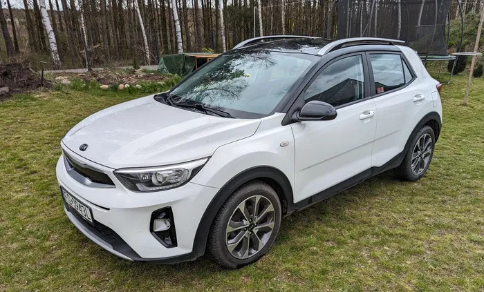 samochody osobowe Kia Stonic cena 69000 przebieg: 42500, rok produkcji 2019 z Końskie